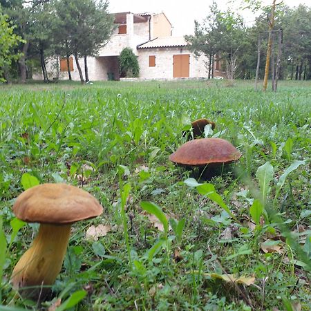 Villa Valeria Divšići Exteriér fotografie