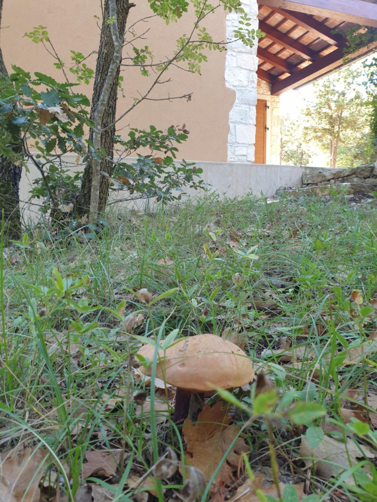 Villa Valeria Divšići Exteriér fotografie