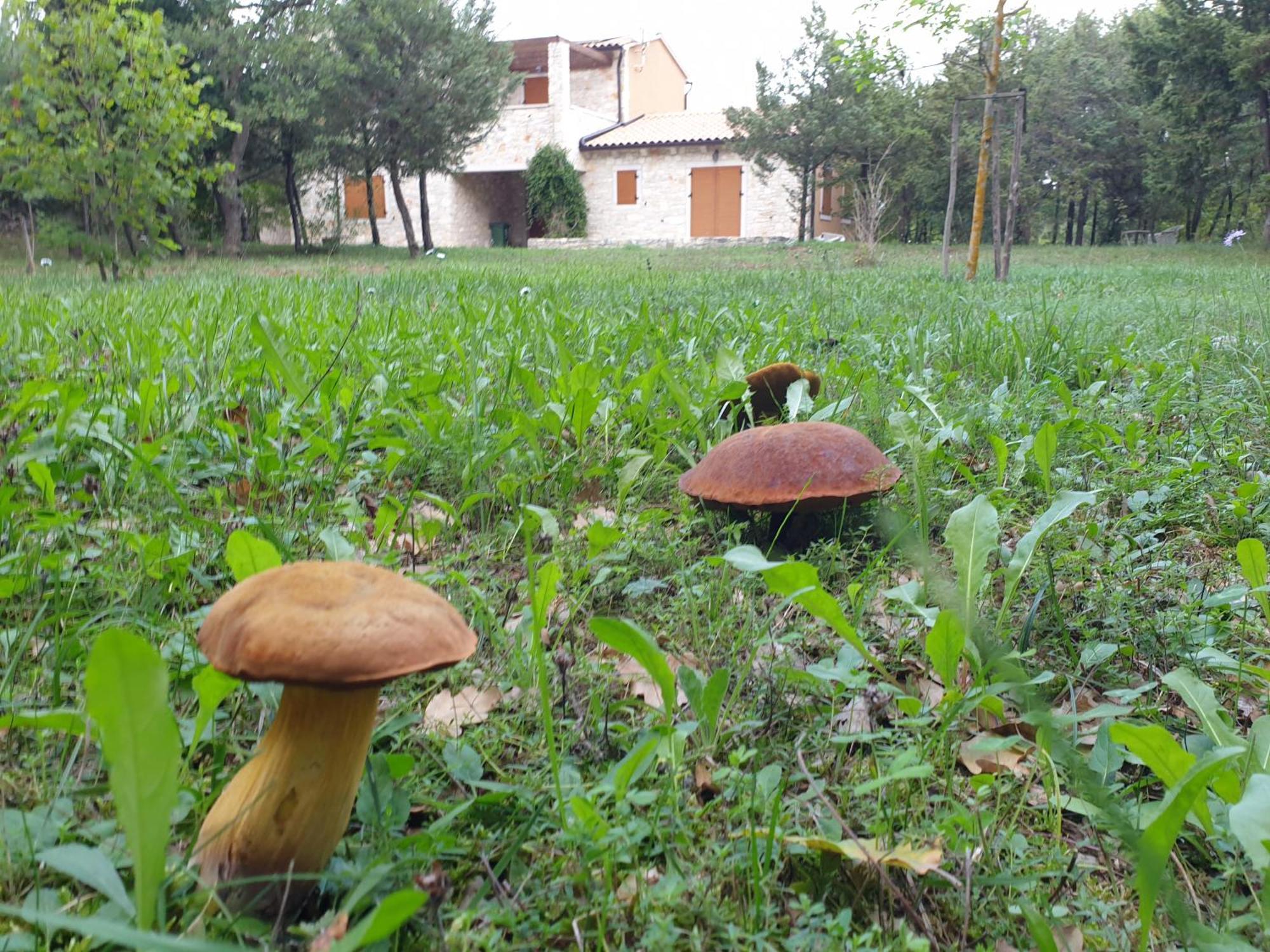 Villa Valeria Divšići Exteriér fotografie